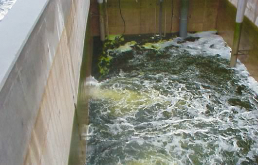 SAMT Surge Anoxic Mix