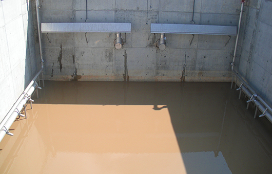 ISAM™ Integrated Surge Anoxic Mix
